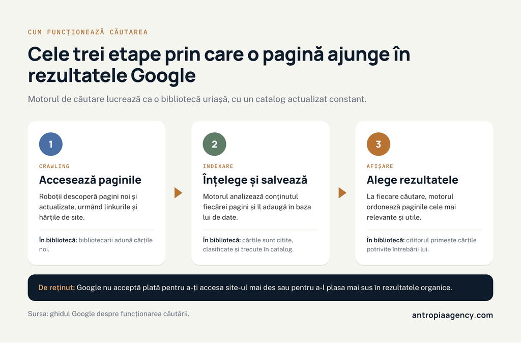 Cele trei etape ale căutării Google: accesarea paginilor, indexarea și afișarea rezultatelor