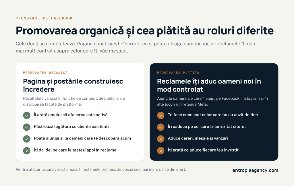 Rolurile promovării organice și ale promovării plătite pe Facebook