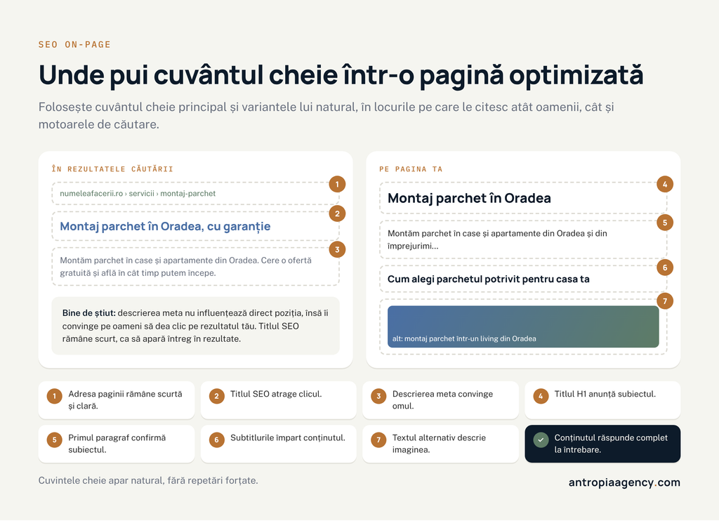 Locurile în care pui cuvântul cheie într-o pagină optimizată pentru SEO