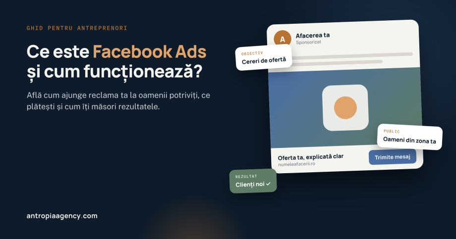 Reclamă sponsorizată pe Facebook, cu obiectivul, publicul și rezultatul campaniei evidențiate